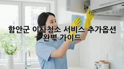 함안군 이사/청소 서비스 추가옵션 완벽 가이드