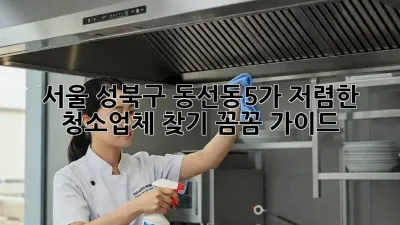 서울 성북구 동선동5가 저렴한 청소업체 찾기: 꼼꼼 가이드